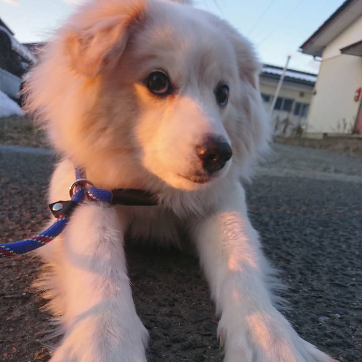 9fc482dd 7c14 4329 83f9 35b880afaac2 1519248983989