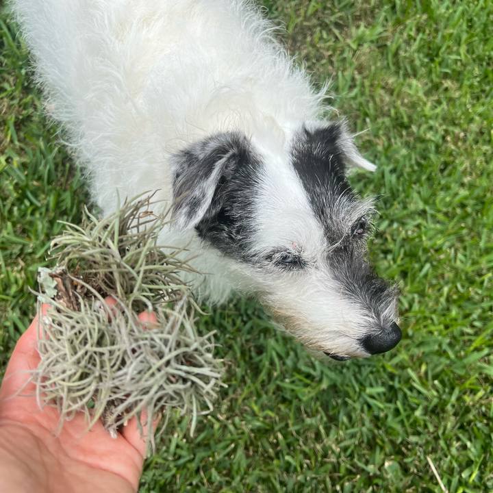 9fc492e0 1048 4d27 bc1e 7013a7cd2be2 1752886587525