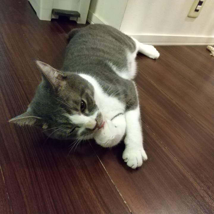 9fc4cfc5 7094 48d2 88fa 11df8e0db97b 1605698768317