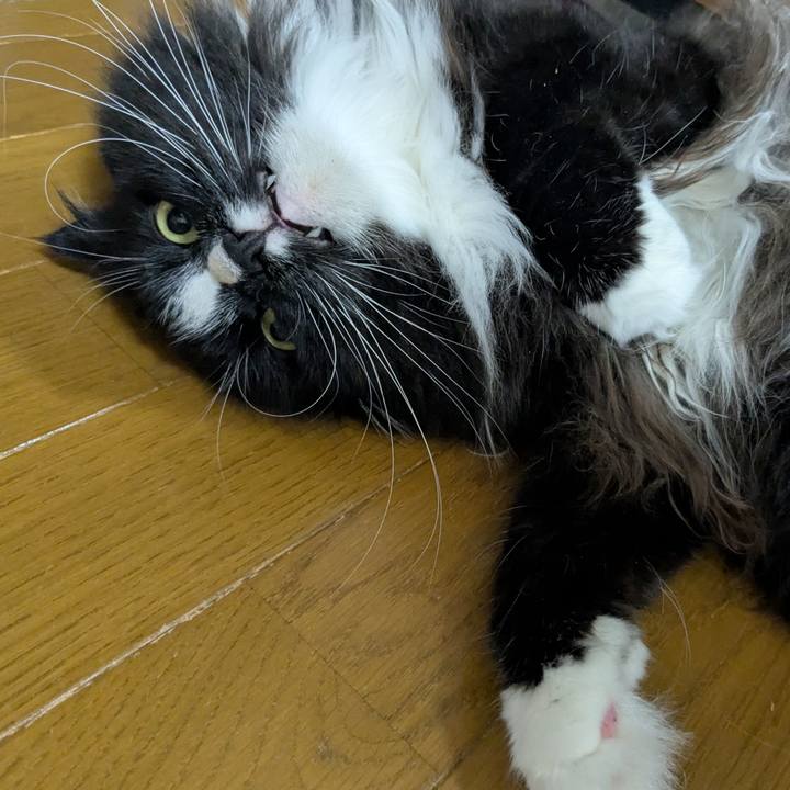 9fc5120f 8dba 4f87 89fe 399553966940 1750886848194