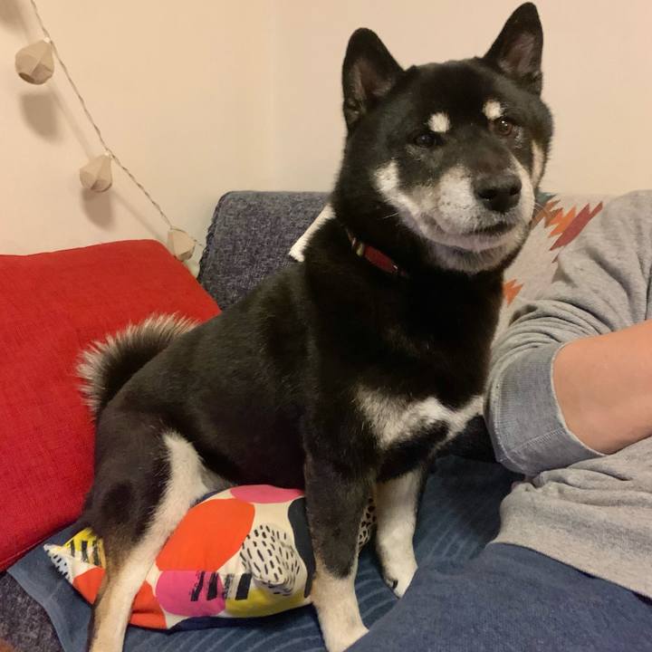 9fc55088 764f 4964 b29c 34a9f96cfd5c 1638193677248