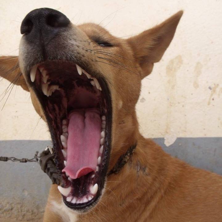 9fc5726b dbe8 4e6a 9f46 b2202a52afd9 1520675774431