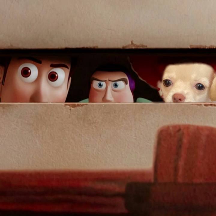 9fc57f5e 5568 4332 98e9 071c83d7e043 1724132344276