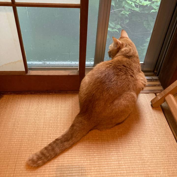 9fc5ba8a b677 4836 9dd7 11218db5927f 1661644001491