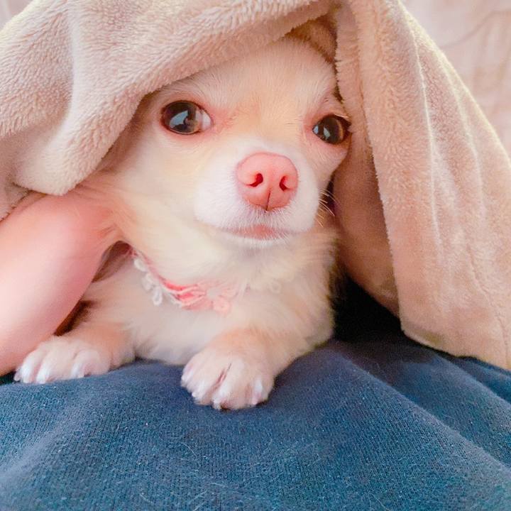 9fc5eeae c80b 486a bd93 2b389ad4871a 1614129585714