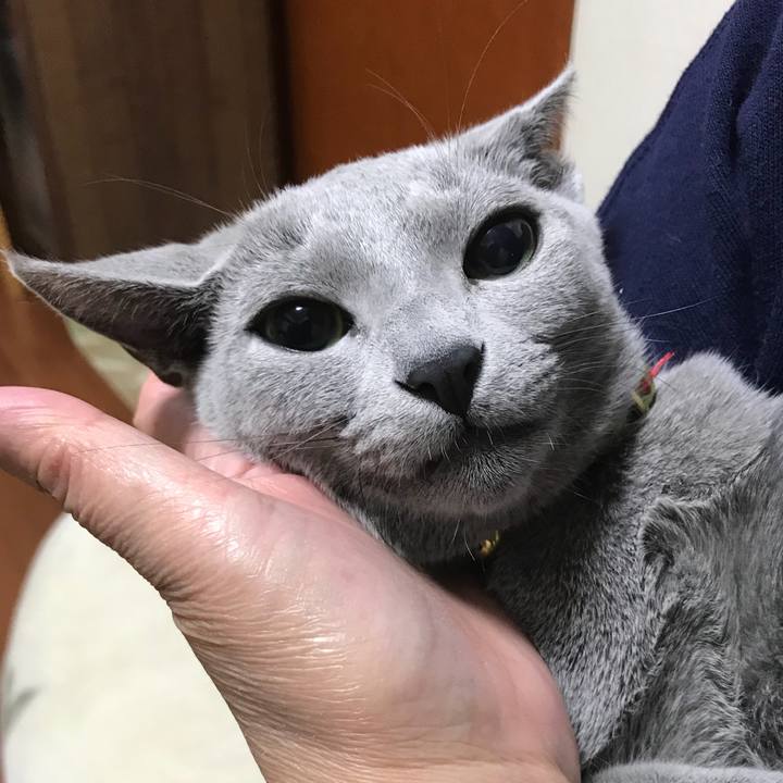 9fc61db5 a144 4a4a 9b56 b0ca1ad74133 1510580540939