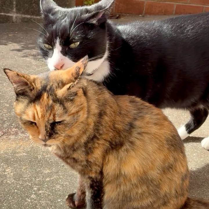 9fc622eb 870d 4228 aa50 ada32ef8e207 1763956721313