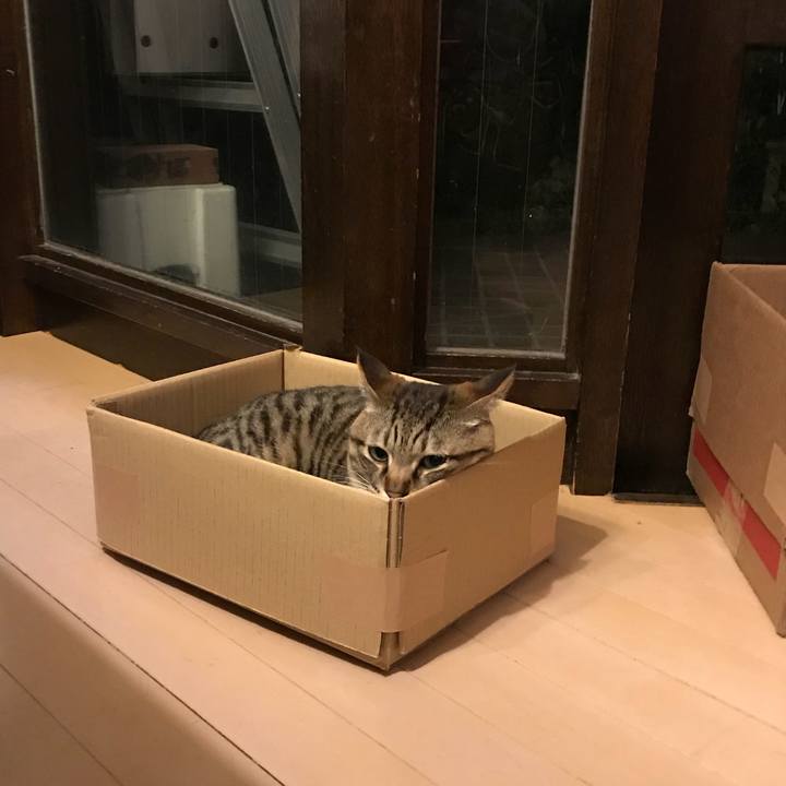 9fc64843 5f21 4d8a a51c 509628b99fb5 1522755078899