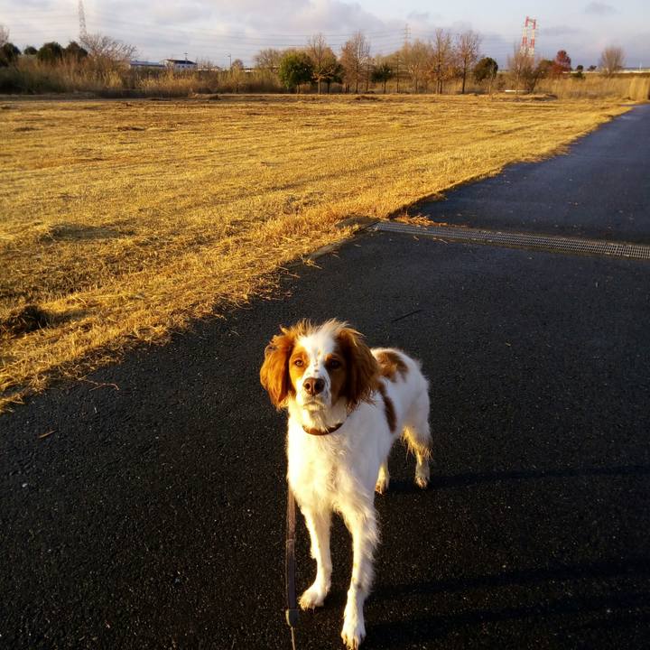 9fc64f66 51cd 41d6 bbc6 738f12c1552f 1515151957536