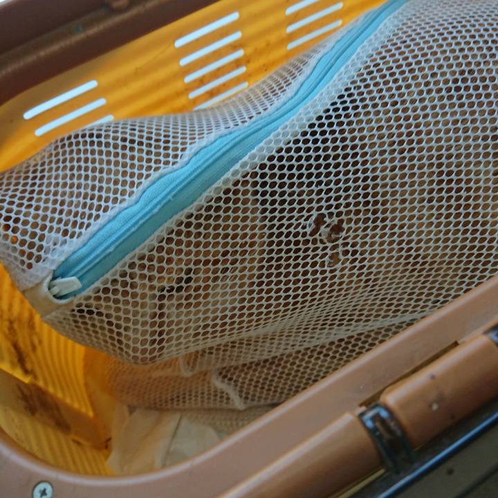 9fc682f3 1037 455a 9f1c 70ef39c5d312 1555743623974