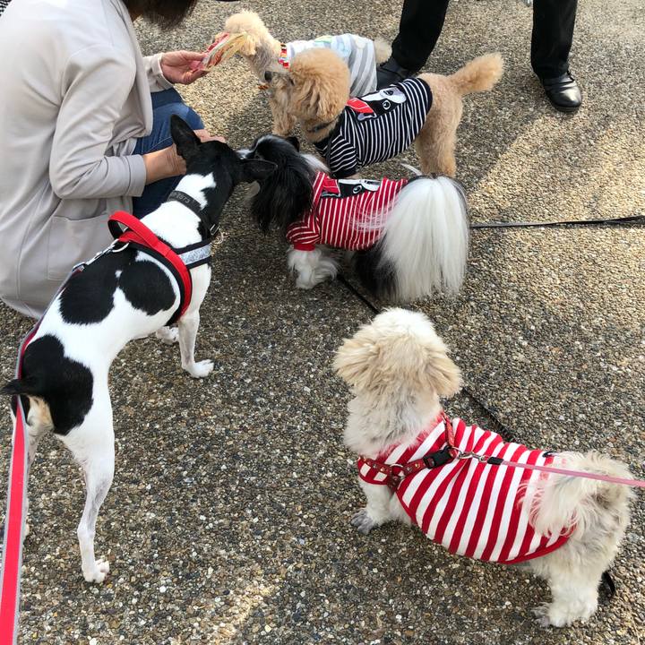 9fc68855 d81a 425a a486 a0abd7ffcb57 1539481985440