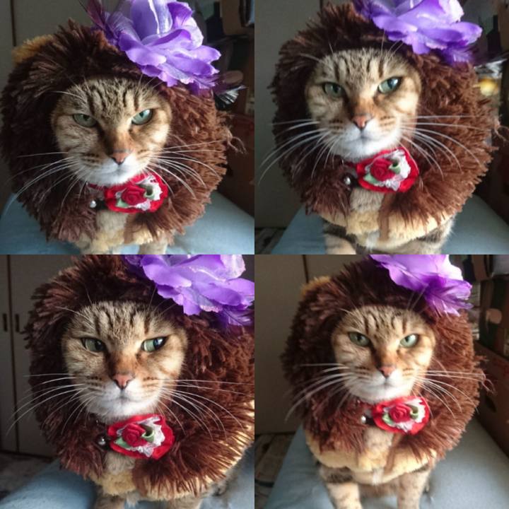 9fc6b005 a9be 48a7 b3fe d978f383be9b 1767484258500