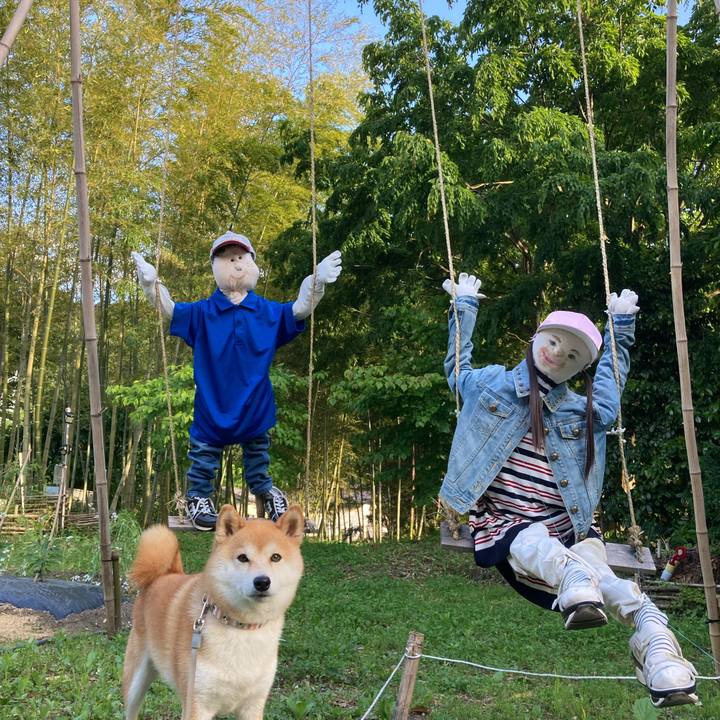 9fc6c202 243d 46e8 a2d1 c0f720e875c0 1685604579838