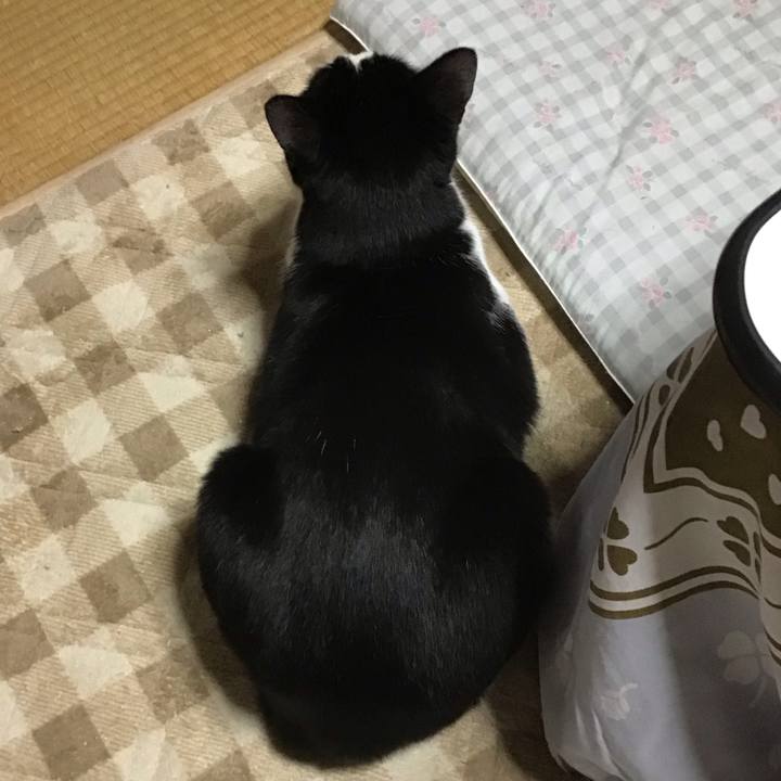 9fc70ae4 4d6c 4463 8b34 a5f325584451 1699964874154