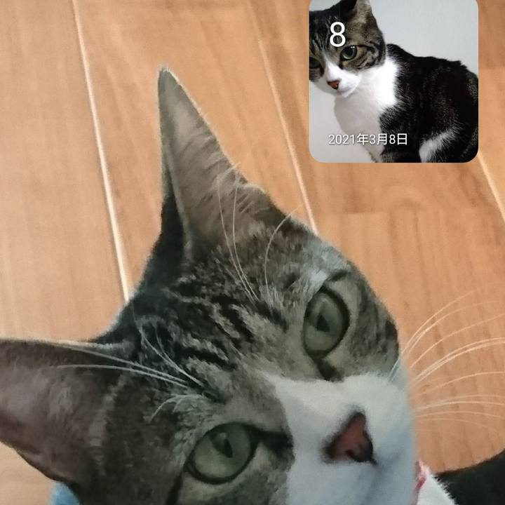 9fc721d5 21e4 4bd6 9eef 74d24bfaf346 1646736799919