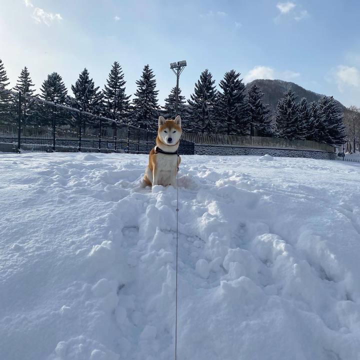 9fc73c40 47ce 46ec af4a aa02a3dd1d11 1671076116052