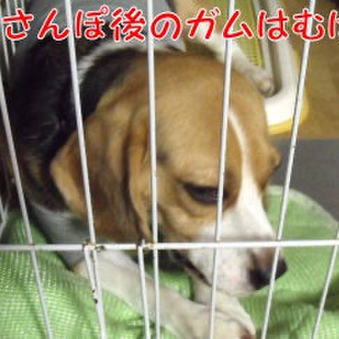 9fc763ce e39d 4d3e a0c5 194b1347b30a 1724456982828