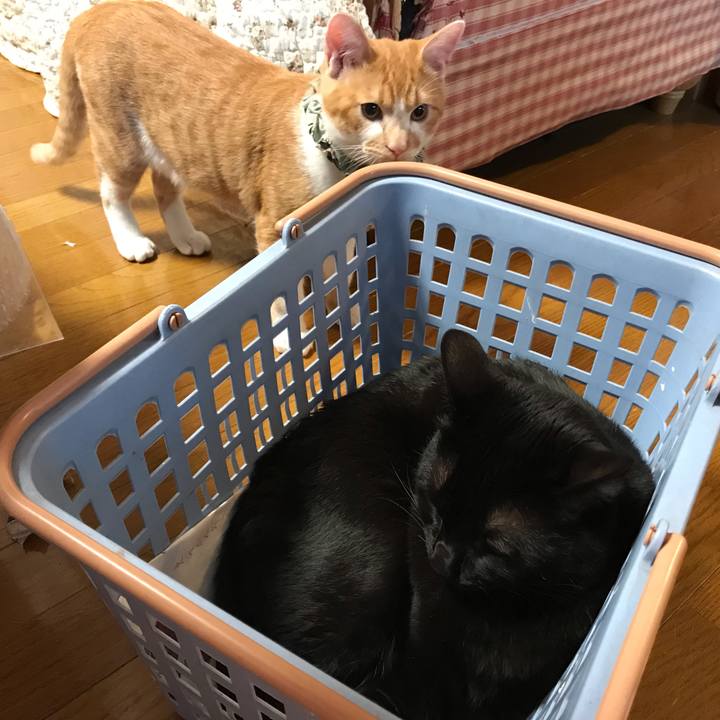 9fc76924 3a03 41ac bf54 ff9b37f005f7 1670623139544