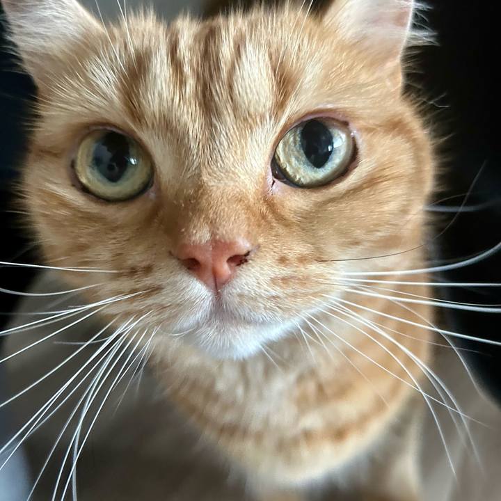 9fc78726 62dd 413d ad8a 54baae50c491 1720658467298