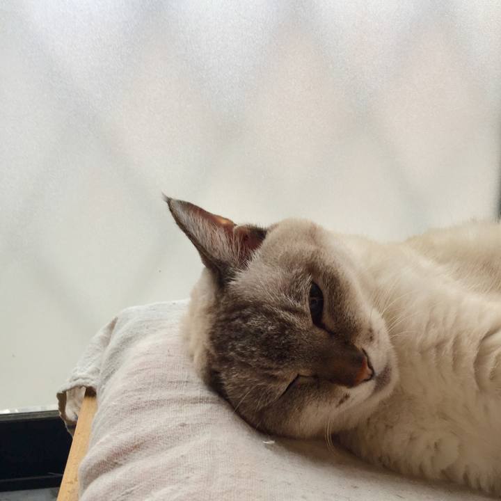 9fc78fd8 1e9b 43da a18f be715f7b32f5 1569889085804