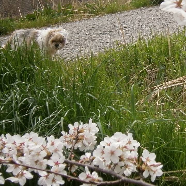 9fc7abf9 02de 44a6 8a25 deeea0ce1b53 1522291402569