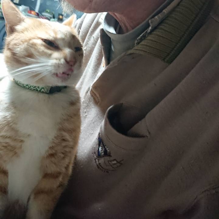 9fc7cf8f 2b8b 42fd b67b 75c01e592590 1584562645022