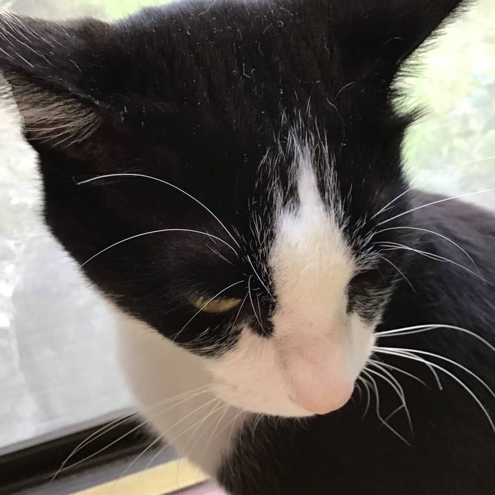 9fc7d23c 8a58 4df5 b095 54666c6fe645 1713076756529