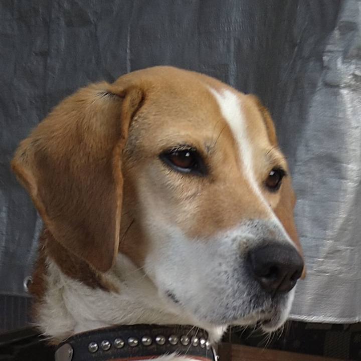 9fc7de9d 9fa9 46d8 85d3 0c20c597cac5 1648184720780