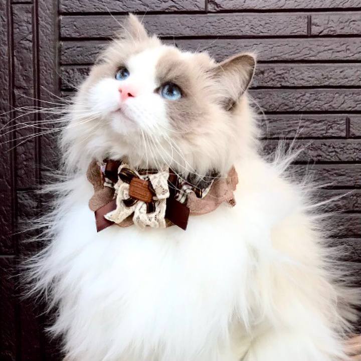 9fc7f846 4aea 43af 9b14 2127a78baca0 1610366554952