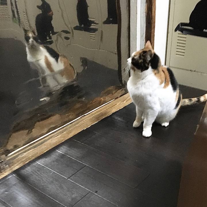 9fc822ab 88ae 40a5 a208 7512f8c05079 1581569925335