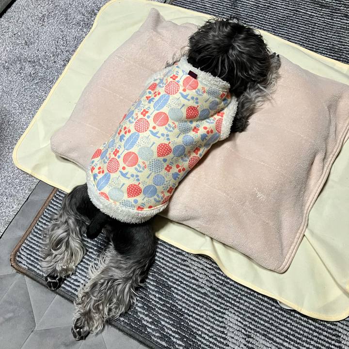 9fc86352 f20f 45e2 8c92 0358f916a2a5 1773912349493