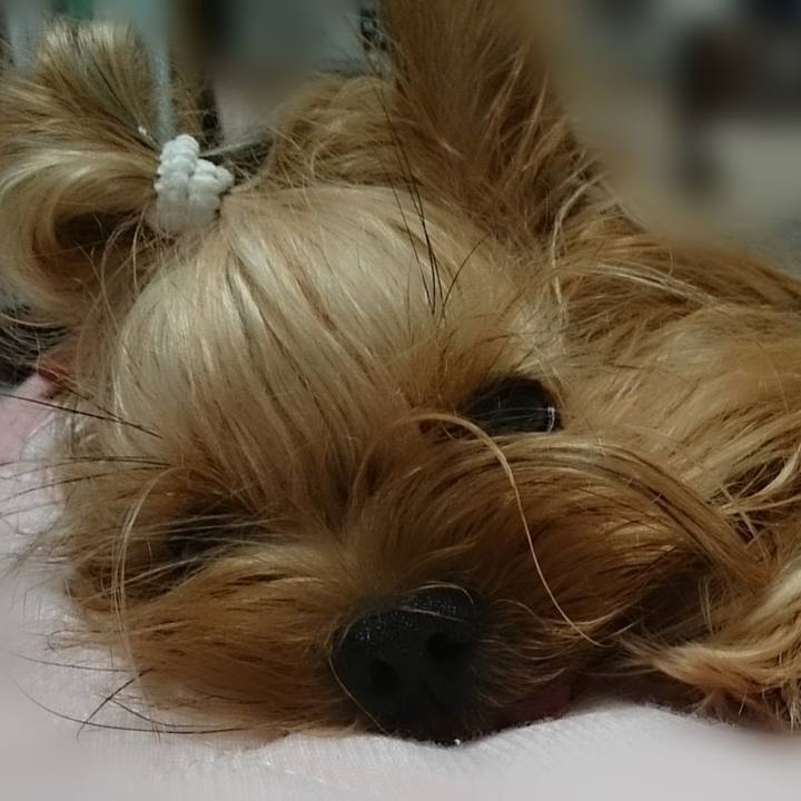 9fc88358 390e 4146 9491 db2a6e599392 1626480276637