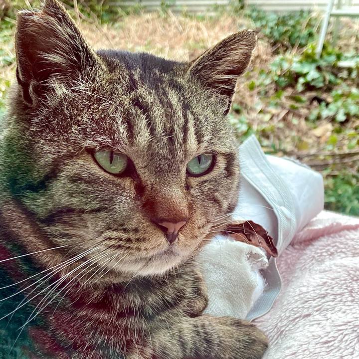 9fc8a2ab a2bf 4aaa 9b9a 1cb4e2060e84 1677827425503