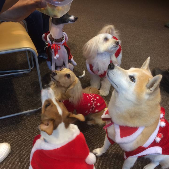 9fc8a7d9 1221 4412 b6ab a5c3eb801958 1546215364486