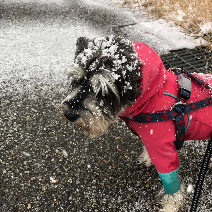 9fc8b4f3 a497 4153 a5ec 5d57fe6d70e4 1639797229971