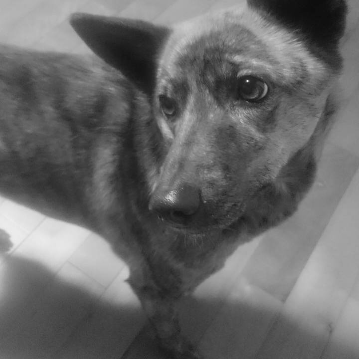 9fc8d841 71ab 4e8c 928b 45bc0327ae66 1521456331168