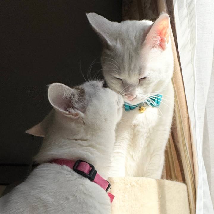 9fc8e335 b35b 42f1 84df c4f727b68bec 1767178552528