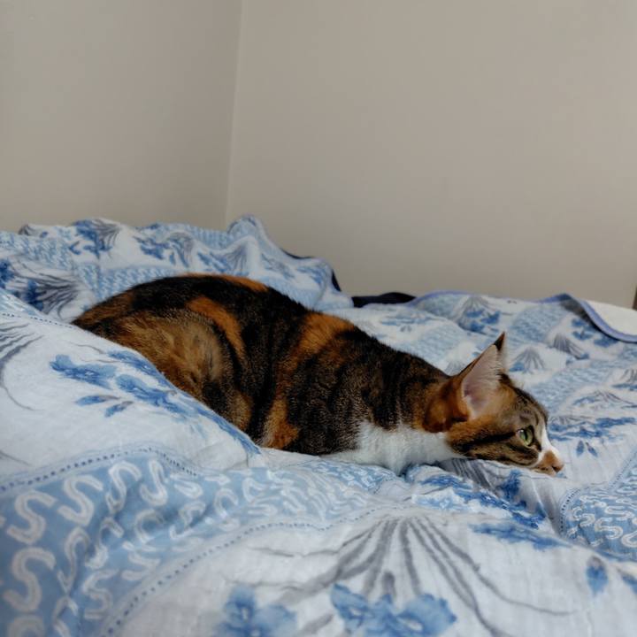 9fc8fb41 d3e0 46e6 abfc 6bcc0845eec2 1766888688458