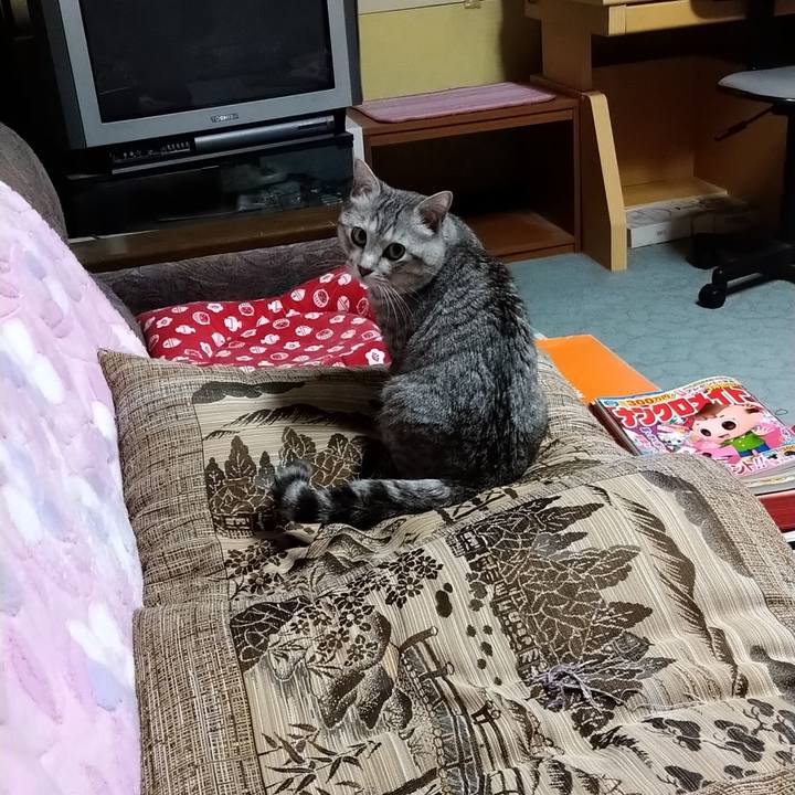 9fc8fb60 bd96 4357 be74 2d54333ecf70 1582035552882