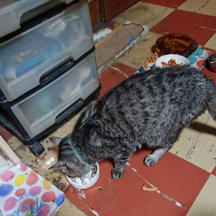 9fc9547d b91f 4a49 a524 feaa0aeb94e6 1574077466347