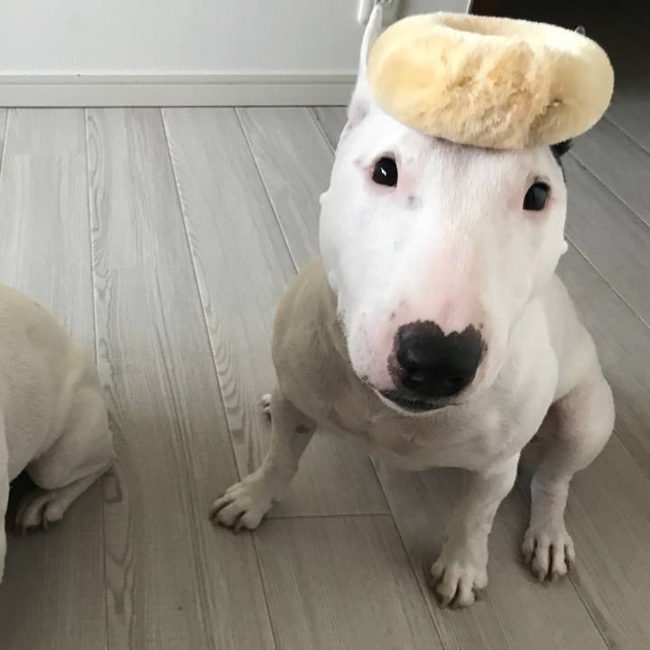 9fc96754 de70 4622 a843 6a1b8870b948 1527735699717