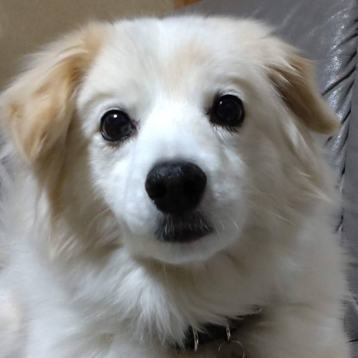 9fc9756e 603b 4923 9eba 35e0337b1575 1672495531692