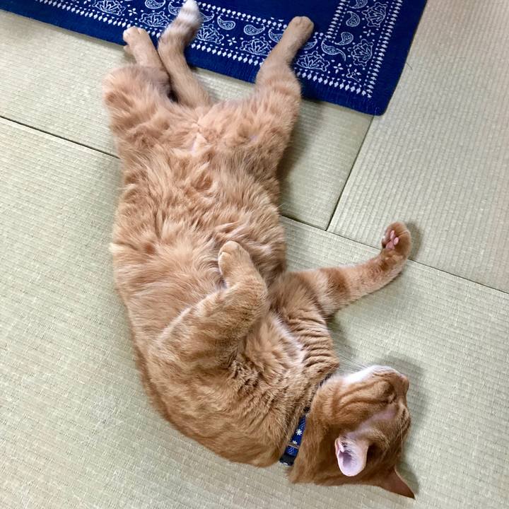 9fc98735 d2ad 4d20 894c a093a2001ea6 1530060645635