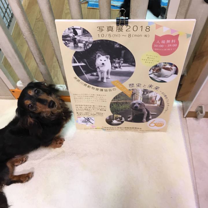 9fc98a17 73dc 4a41 8f13 2a62e3bdf8eb 1538816425801