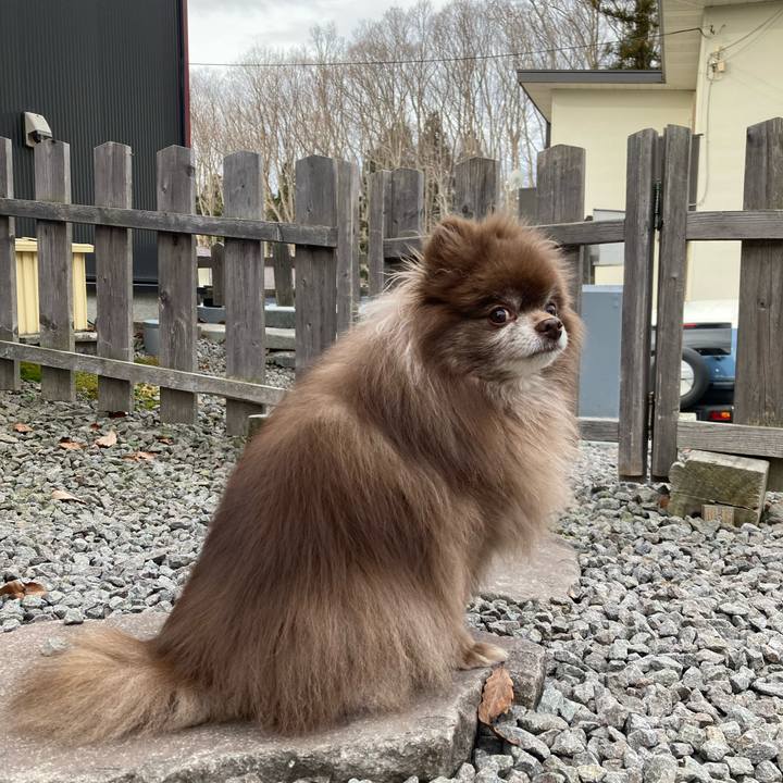 9fc995b5 c055 42f7 bc99 941bdc98fff8 1679104863339