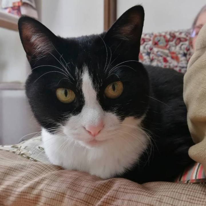 9fc9ef69 71e6 4e19 aaf0 71abc06cf133 1721971136137