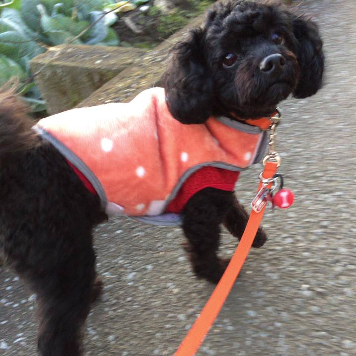 9fc9fa57 da75 47dc ae62 9e7dfcc62977 1511650070347