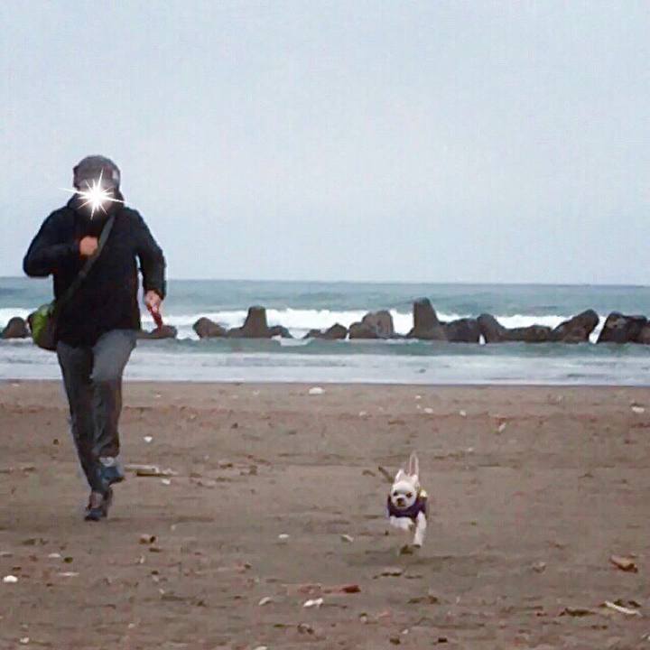 9fca1459 0b2e 4ecf bd00 a30a74e9d74a 1516272478482