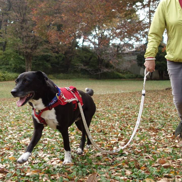 9fca8136 07c4 449b 8e31 2152ac54e94b 1668387426309