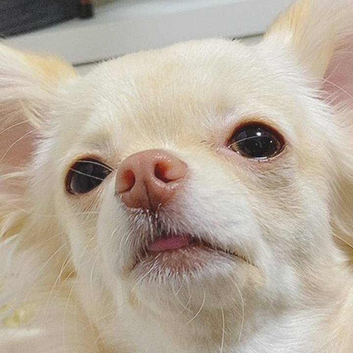 9fca8bd9 75a9 43ac b625 590e7f7a3e05 1608098060703